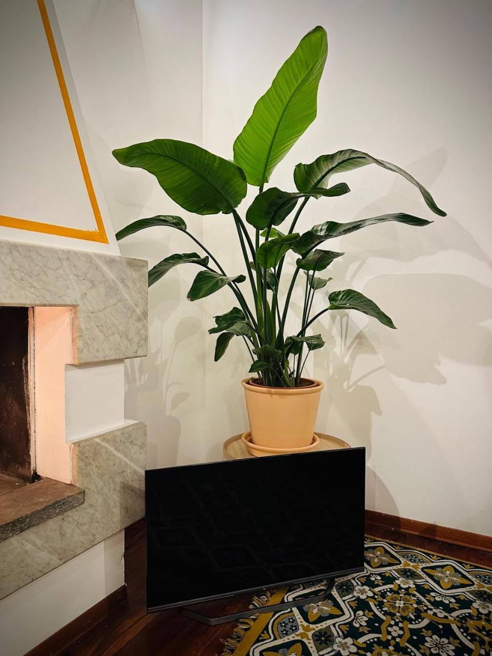 Wow House In Torino Apartment Bagian luar foto